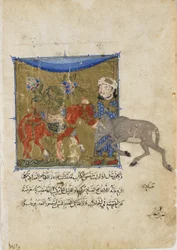 El jabalí y el caballo, folio de un Sulwan al-Muta por Ibn Zafar, dinastía mameluca, c.1335